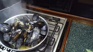 Mussels’ recipes