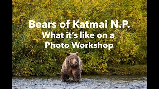 Bears of Katmai - What it's like on a photo workshop there!