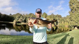 Fishing Topwater for Big Bass! Nonstop Action!