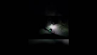 night ride - mountain biking #mountains #bike #shorts