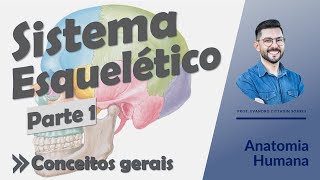 Sistema Esquelético - Aula 01 - Conceitos gerais - Anatomia Humana