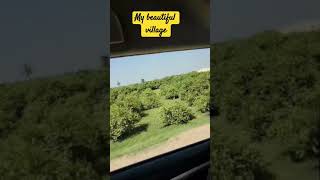 My beautiful village #shorts #viral shorts # YouTube shorts   # seemalzmofficial