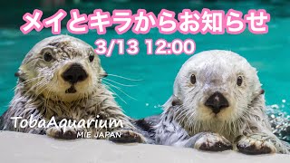 【鳥羽水族館】メイとキラからお知らせ