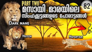 സിംഹങ്ങളുടെ പോരാട്ടങ്ങൾ 2  | Marsh Lions | Lion Coalitions of Masai Mara | Julius Manuel