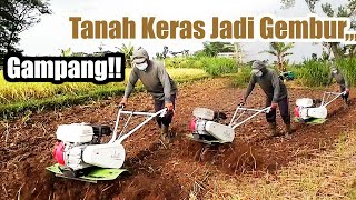 Capek nyangkul??? Gampang!!Cara olah tanah keras yang benar dg kultivator quick kasuari