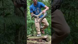 GIANT Snake In The Jungle!!