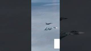 The Russian fighter pilot showed the #shorts #short #shortvideo #shortsvideo #reels #jet #automobile