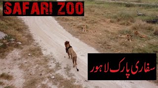 SAFARI PARK LAHORE | SAFARI ZOO | SAFARI ZOO PARK LAHORE | PAK PUNJAB