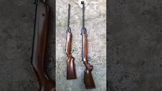 MOD.35 Vs MOD.25 - 0.177CAL. #shorts #airguns #airrifles #airgunning #shooting #hunting