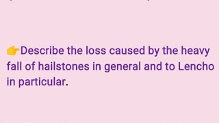 Describe the loss caused by the heavy fall of hailstones in general and to Lencho in particular.