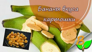 Запекаем бананы плантайны вместо картошки