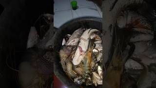 hasil berendam 2 jam #shortvideo #videoshort #spearfishing