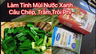 Cách Làm Tinh Mùi Nước Xanh Câu Chép , Trắm, Trôi ,Phi Dể Làm Rẻ Tiền  Hiệu  Qủa