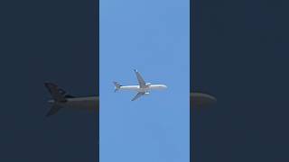 SAA flight from Cape Town to São Paulo#planespotting #viral #saa #shorts #a330