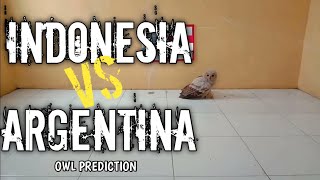 PREDIKSI INDONESIA VS ARGENTINA (FIFA MATCH DAY)