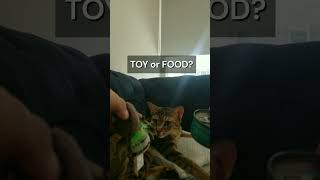 Food or Toy? #shorts