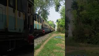 ZdM 724 Locomotive Kangra valley Toy train #short#viral#indianrailways