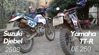 Yamaha TT-R 250 Open Enduro и Suzuki DR 250S Djebel - Грязный понедельник