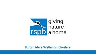 RSPB Burton Mere Wetlands -  Documentary