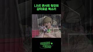 KCM의 감미로운 목소리 LIVE #shorts