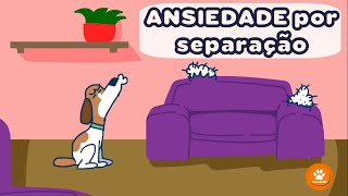 ANSIEDADE por separação - A vida de Max