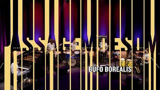 Bufo Borealis | Programa Passagem de Som