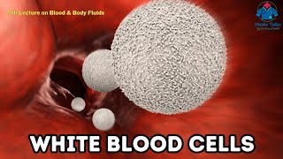 White Blood Cells (Leucocytes) | Types | Morphology | Functions | Pathology | Dr Krunal Dabhi