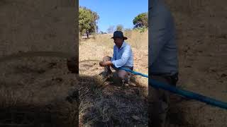 Fico feliz por fazer parte do seu sonho Sr. Genilson homem de campo