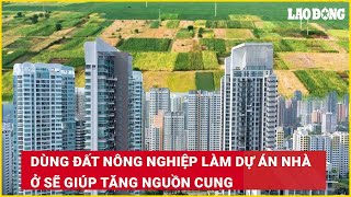 Dùng đất nông nghiệp làm dự án nhà ở sẽ giúp tăng nguồn cung| Báo Lao Động