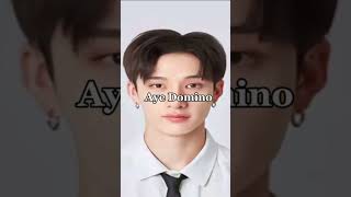 AYE DOMINO bangchan#kpop #kpopshorts #straykids #ayedomino #domino #skz #bangchan