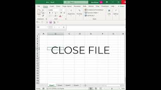 cara setting huruf default di excel  #latihanexcel #excelindonesia #excel