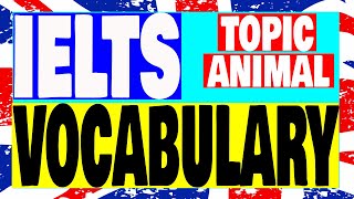 IELTS Vocabulary topic animals part 1 #11