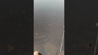 Forgot The Cooler 🎣 #fishing #shortvideo #shorts #fish