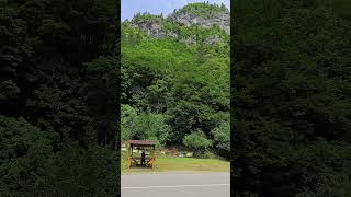 Пасека у дороги в горах Абхазии. Apiary by the road in the mountains of Abkhazia. #абхазия #abkhazia