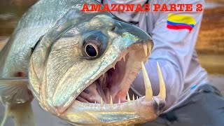 Pesca en el Amazonas 2024 | PARTE 2 🎣😳