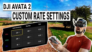 DJI Avata 2 | Rate Mastery From Beginner to Pro in One Video