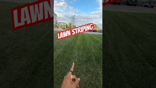 How to Stripe A Lawn Without a Striping Kit #shorts