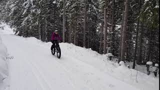 Fat bike in the snow