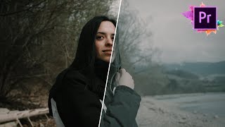 COLOR GRADING - A7SIII / ZEISS CP3