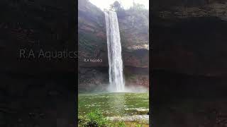 Phe Phe Falls - A must visit waterfalls of Jaintia Hills (Meghalaya) #shorts