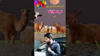 Bakra Eid mubarak #viral