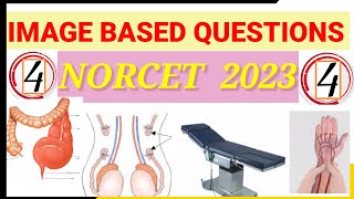 NORCET 2023 || image based questions series -4 || AIIMS nursing officer exam preparation||