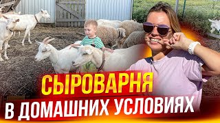 Фермерский сыр. Искусство или профанация? Перспективы импортозамещения и секреты производства.