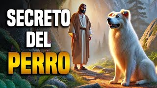 La VERDAD sobre el PERRO en la BIBLIA