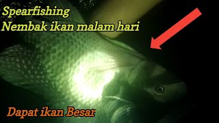 Spearfishing-Nembak ikan Nila Dapat Babon