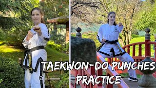 Taekwon-do Punches - Practice