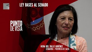 Ley Bases: “Es un mamarracho, una reforma inconstitucional”