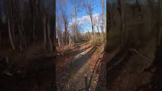 Connecticut Flow - #shorts #mountainbike  #mtb #downhillmountainbike #mountainbiking#freeridemtb