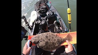 19.5 inch Flounder / Fluke Catch - Early Spring - #shorts