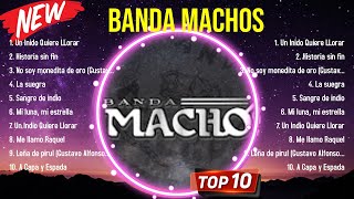 Top Hits Banda Machos 2024 ~ Mejor Banda Machos lista de reproducción 2024